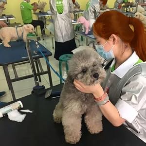 Professional Dog Nail Grinder