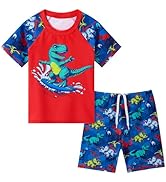 Toddler Boy Swimsuit Kids Swimsuit Boys Two Pieces Shark Swimsuit Toddler Rash Guard and Trunk