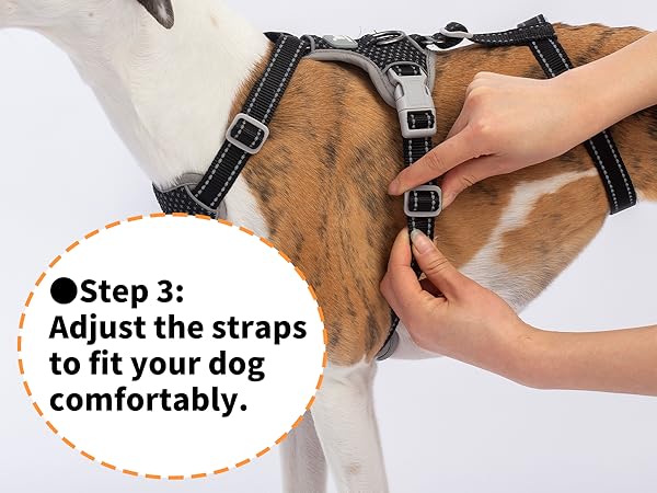 escape proof dog harness