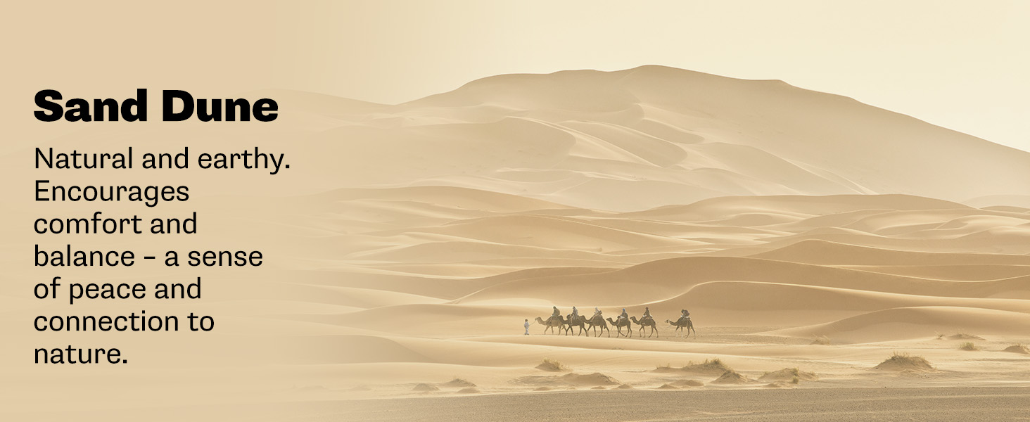 Sand Dune