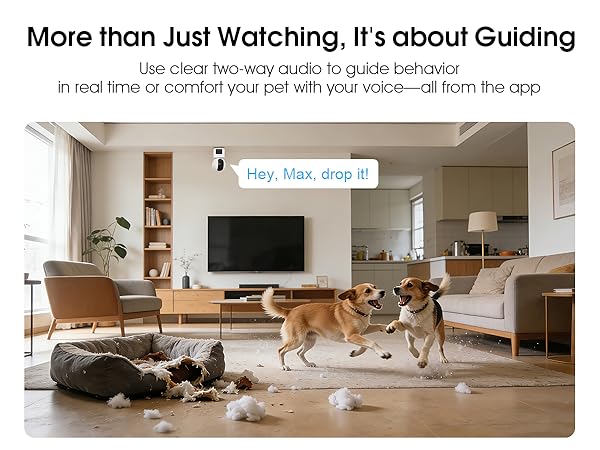 Indoor Security Camera