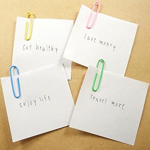 Colored Medium Paper Clips Vinyl Coated