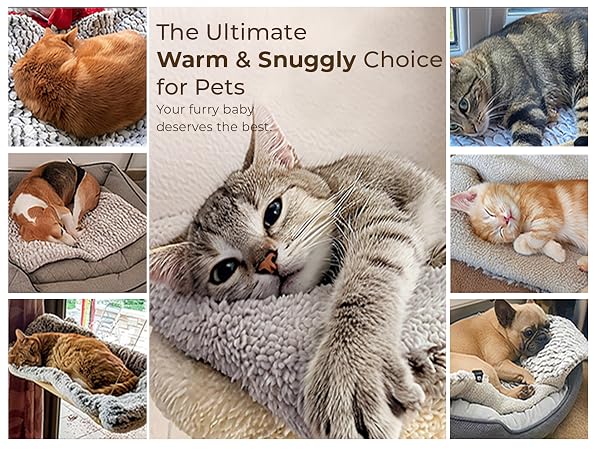 self warming heating cat bed pad mat