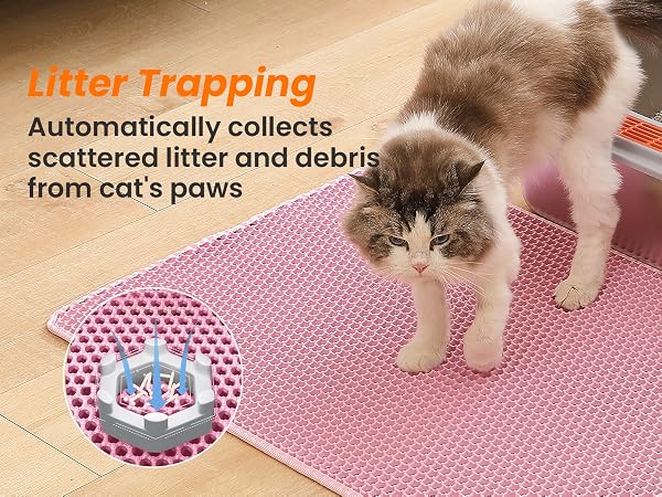 kitty litter mat trapper