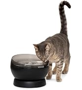 PetSafe HydroSphere Cordless Pet Fountain Battery Powered Water Fountain for Cats and Small Dogs ...