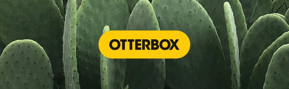 cacti macro