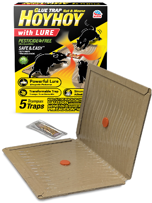 HOY HOY Rat & Mouse Glue Transformable Trap with Lure – 5 Traps