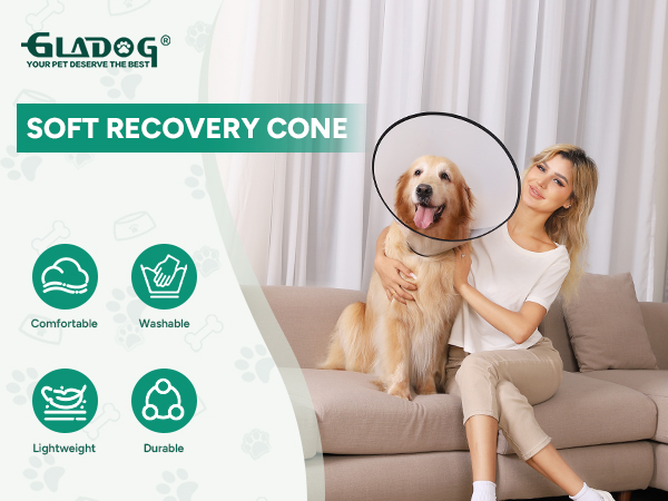 dog cone