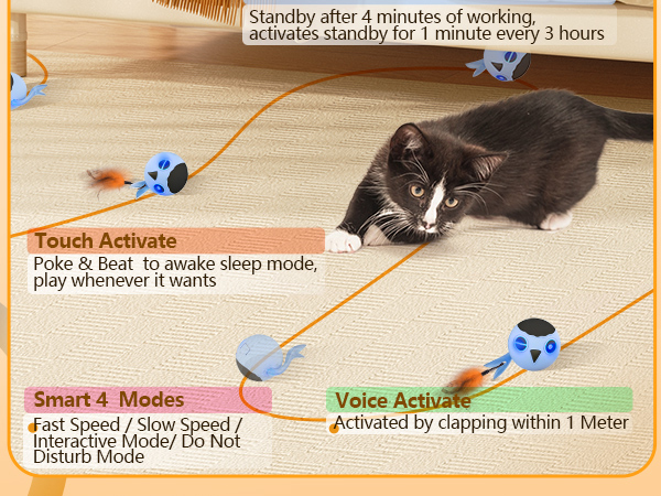 cat toys ball