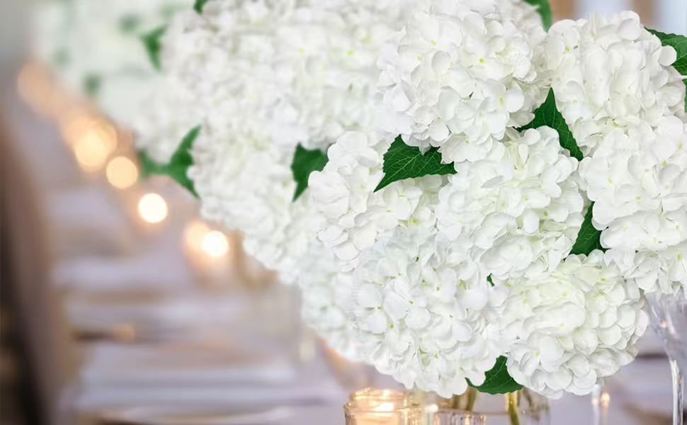 white silk hydrangea flowers