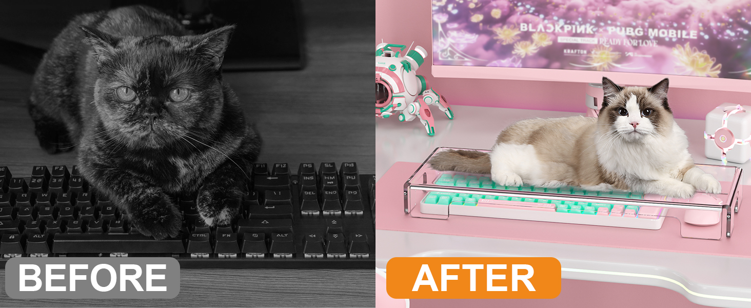 keyboard protector cat