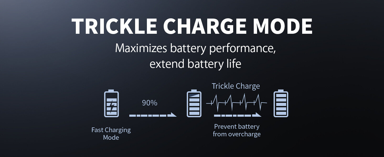 Battey Charger