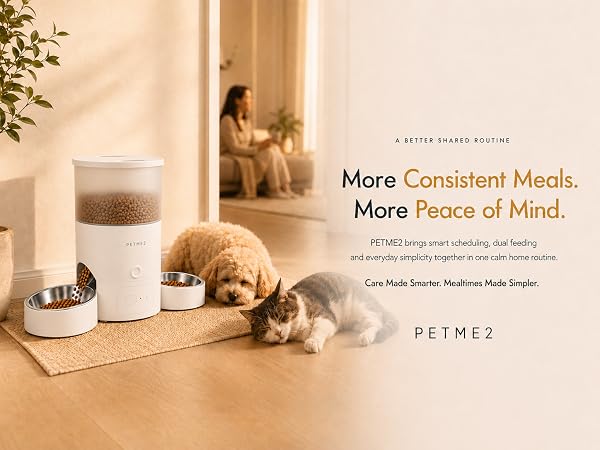 Automatic Cat Feeder