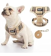PUPTECK Soft Mesh Dog Harness Pet Puppy Cat Comfort Padded Vest No Pull Harnesses