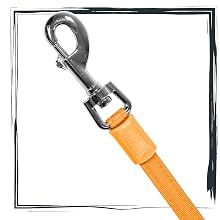Dog Leash