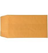Donkey Auto Products Blank License Plate Envelopes (Press and Seal)