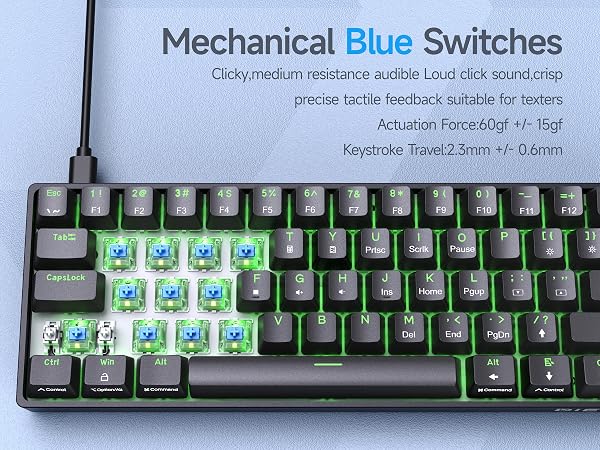 DK61SE- Blue Switch