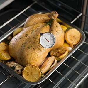 taylor digital thermometer