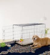 Prevue Pet Products Home On-The-Go Single Door Dog Crate - Extra Large Collapsible Dog Cage