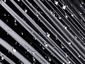 stretch film