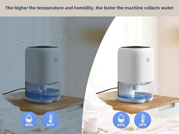 dehumidifier