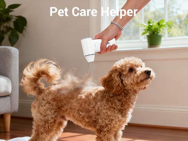 car blower for drying