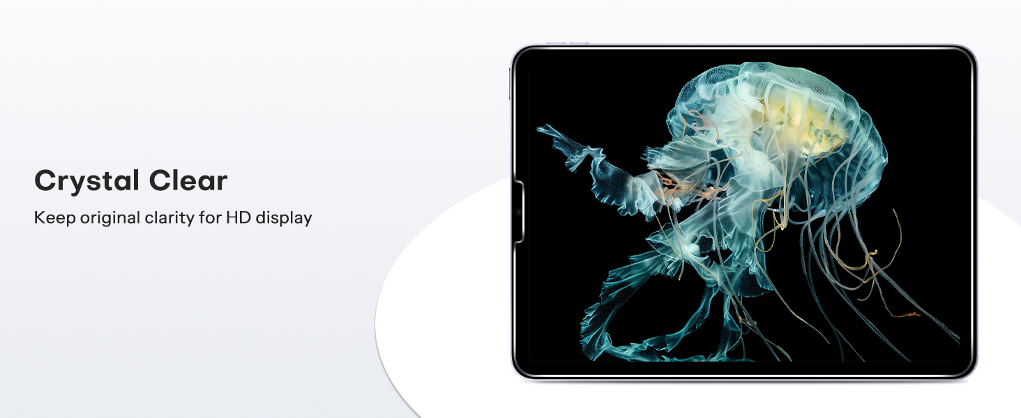 iPad pro 11 inch screen protector