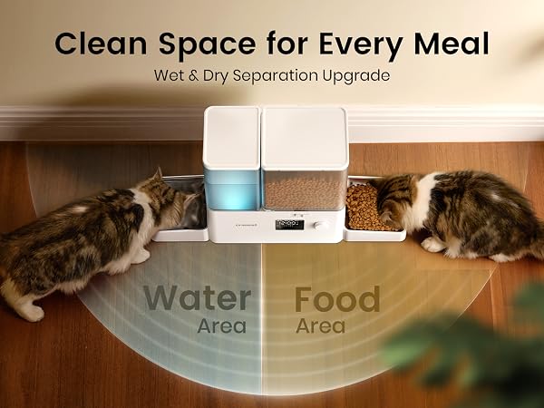 automatic cat feeder and water