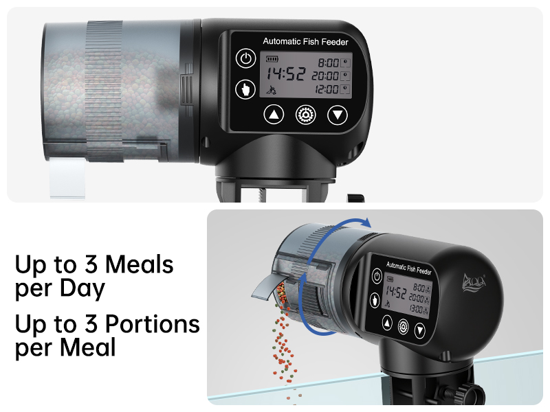 AQQA Automatic Fish Feeder, 200ML Moisture-Proof Auto Food Dispenser with LCD Timer, Battery