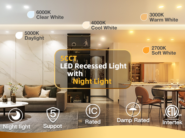 downlight