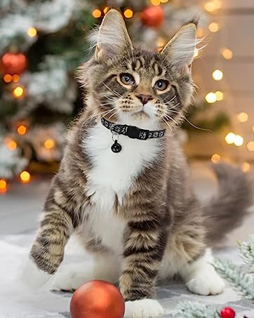 xmas