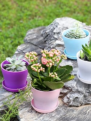 small flower pots