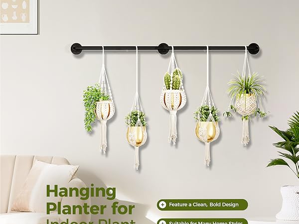 Plant Hanger Indoor