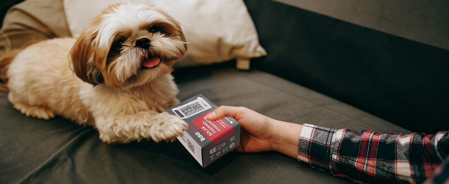 A Thoughtful Gift for Everyday Comfort