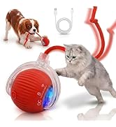 dog and cat staring at a glowing motion sensor cat toy ball.