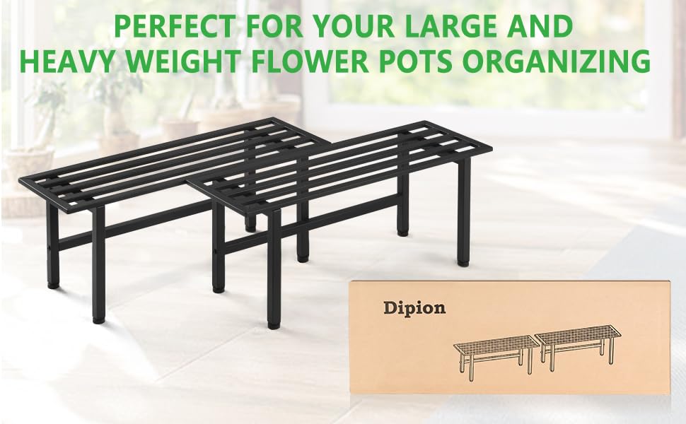 Dipion 2 pack plant stand