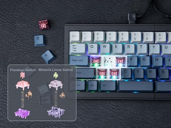 split layout mechanical keyboard