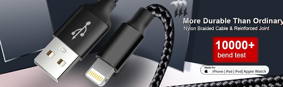 5P Silver iPhone Charger Cable