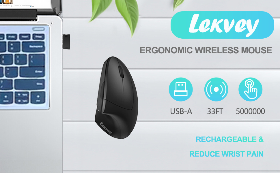 ergonomic mouse