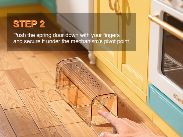 live mouse traps catch and release