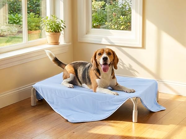 cooling blanket for dogs