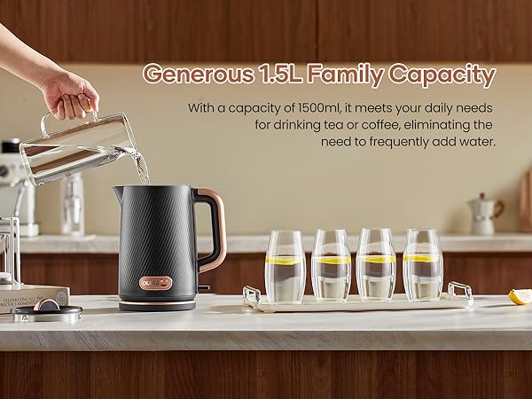 OLEGA Electric Kettle