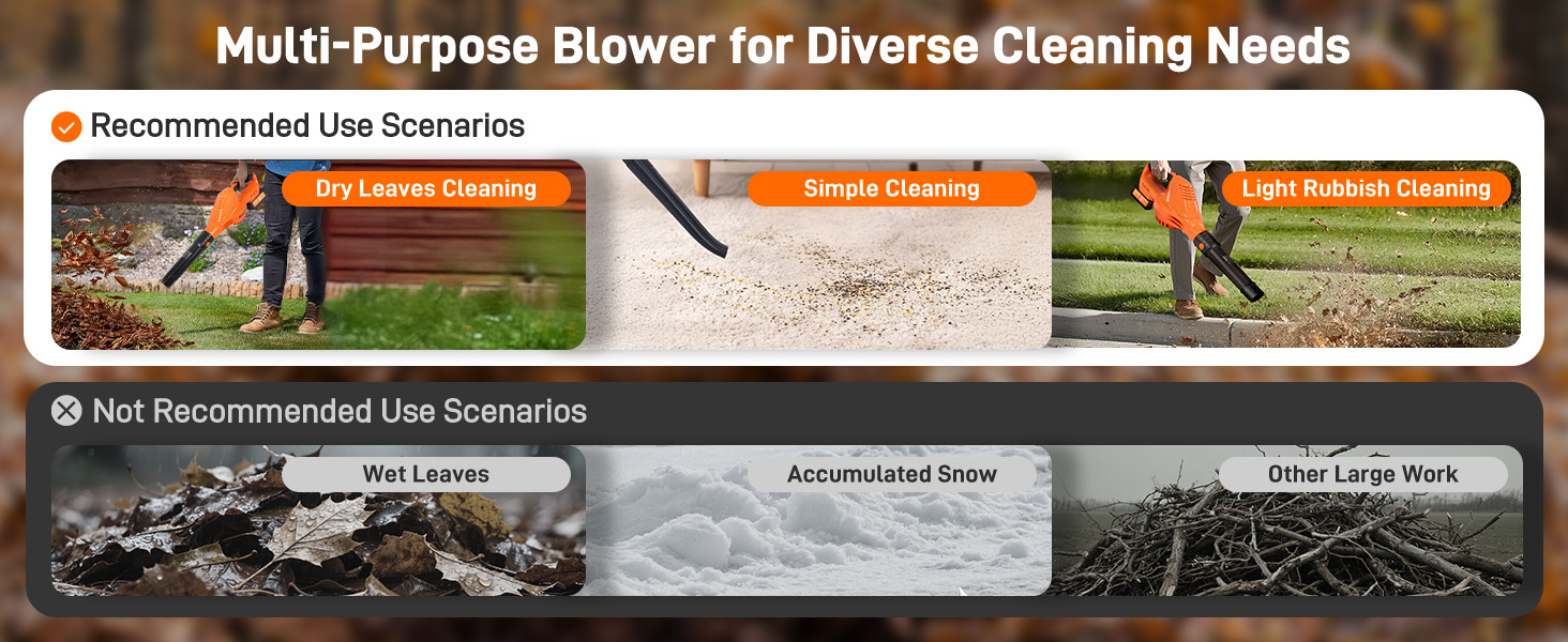 Multi-Purpose Blower for Diverse Cleaning Needs