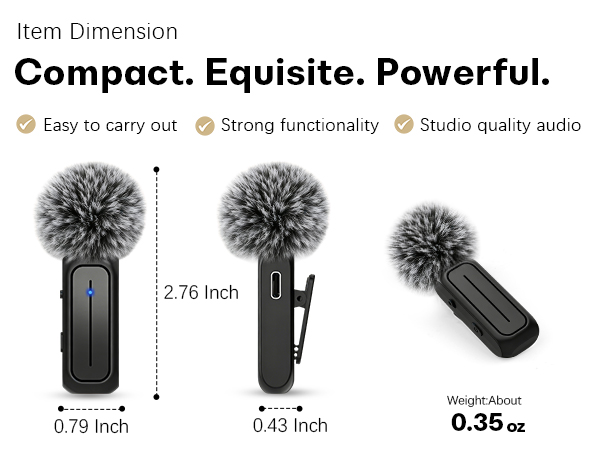 mic