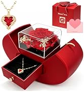 Long-Lasting Preserved Rose Gift Box, Romantic Permanent Rose for Her, Perfect Birthday Surprise ...