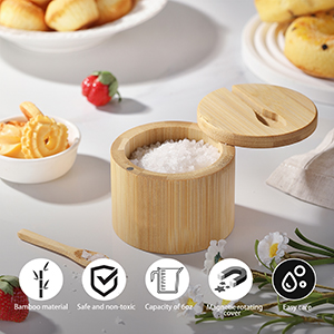 Salt Container