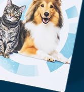 bottom right corner dog and cat