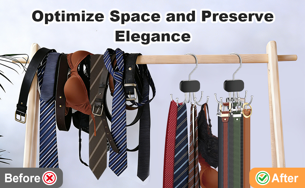 Tie Organizer for Closet