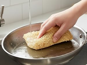 natural sponges for dishes
