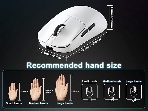 MOUSE
